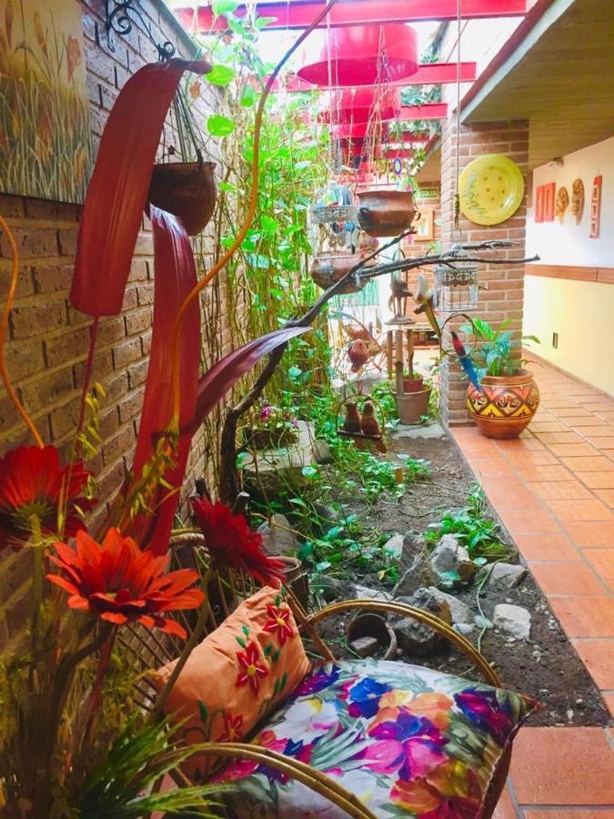 Hotel Costa Azul Cassaffousth Ngoại thất bức ảnh